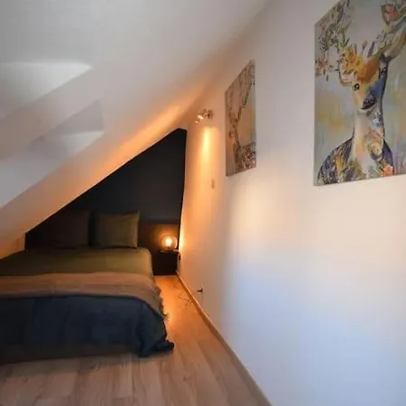 Daire Le Du Quai Des Pecheurs - Duplex Sur Les Quais Strazburg