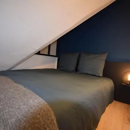 Le Du Quai Des Pecheurs - Duplex Sur Les Quais Daire Strazburg